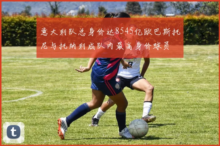 意大利队总身价达8545亿欧巴斯托尼与托纳利成队内最高身价球员